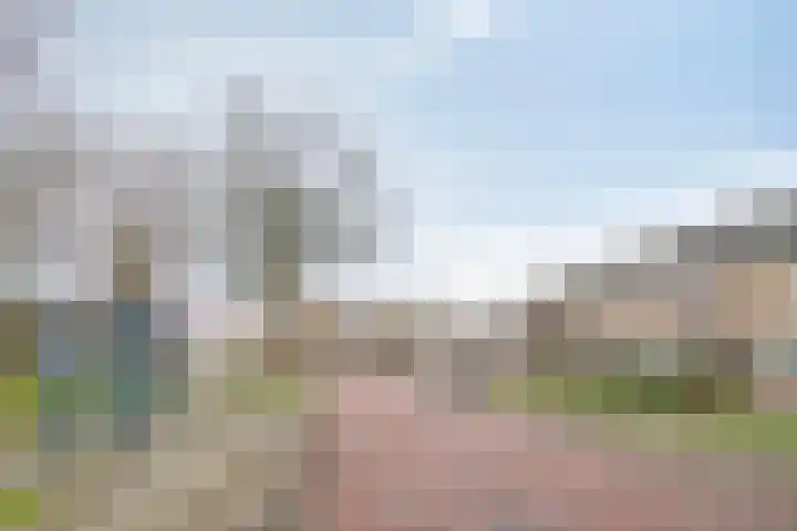 Dr. Schaepmanlaan 45 Veghel thumbnail 31