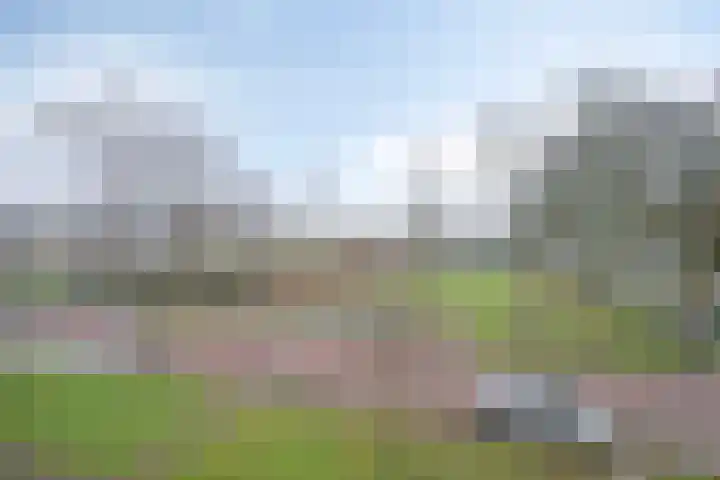 Dr. Schaepmanlaan 45 Veghel thumbnail 32