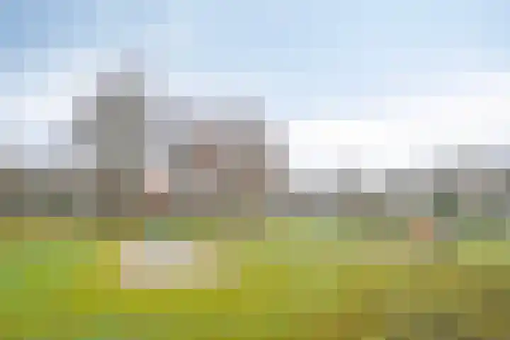 Dr. Schaepmanlaan 45 Veghel thumbnail 33