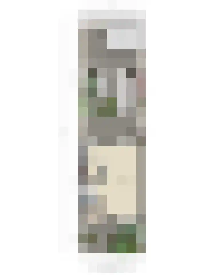 Dr. Schaepmanlaan 45 Veghel thumbnail 34