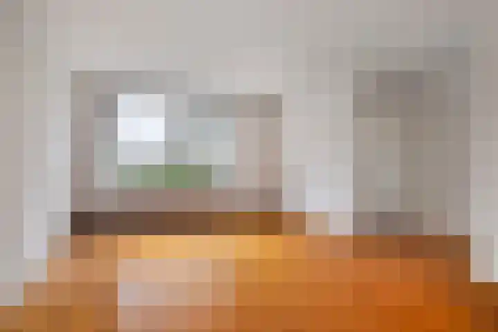Dr. Schaepmanlaan 45 Veghel thumbnail 4