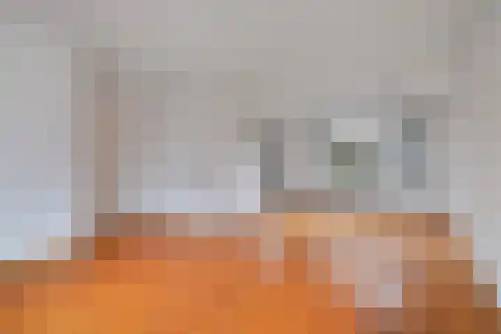 Dr. Schaepmanlaan 45 Veghel thumbnail 5