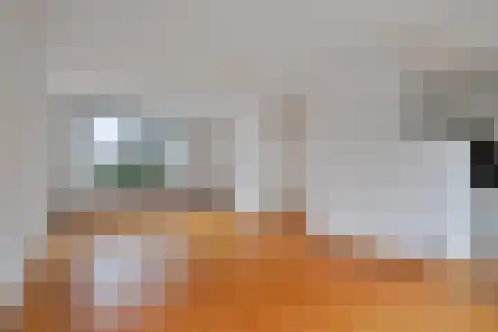 Dr. Schaepmanlaan 45 Veghel thumbnail 6