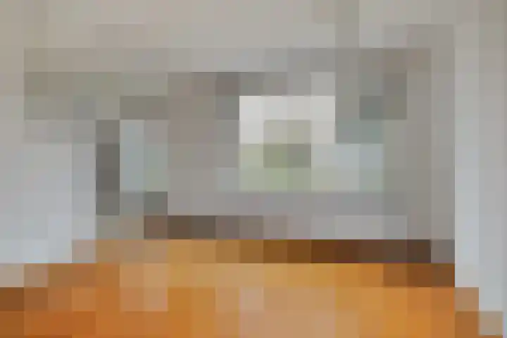 Dr. Schaepmanlaan 45 Veghel thumbnail 7