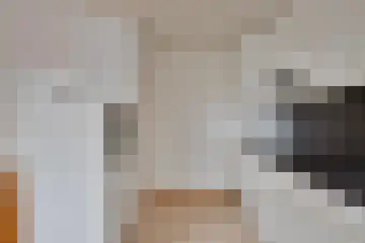 Dr. Schaepmanlaan 45 Veghel thumbnail 8