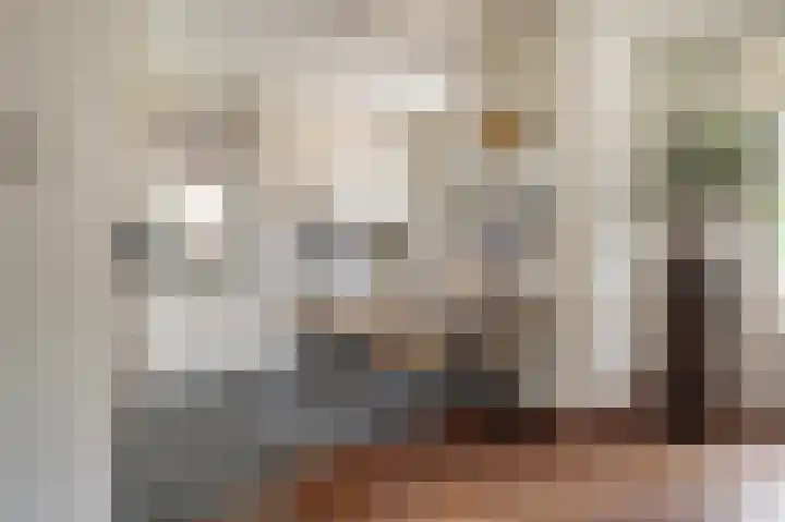 Dr. Schaepmanlaan 5 Schijndel thumbnail 12