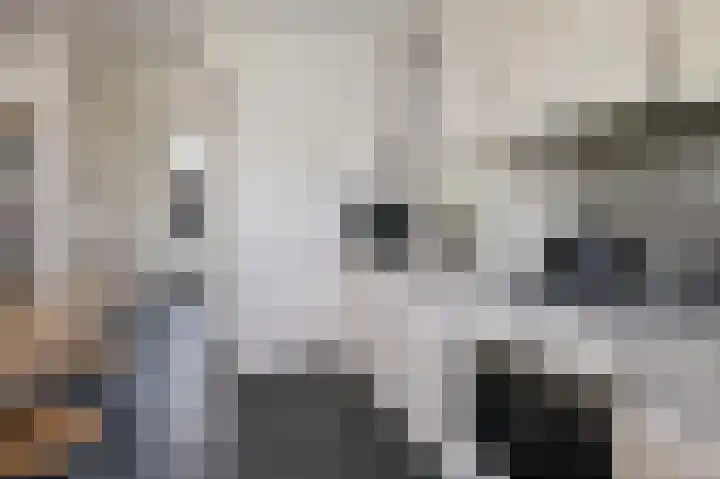 Dr. Schaepmanlaan 5 Schijndel thumbnail 16