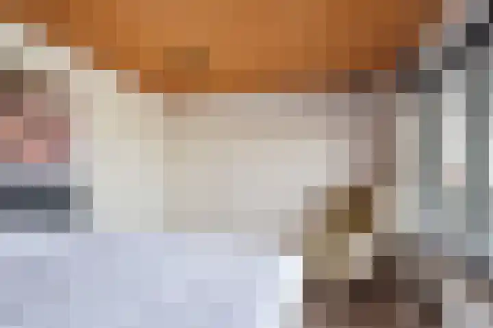 Dr. Schaepmanlaan 5 Schijndel thumbnail 23
