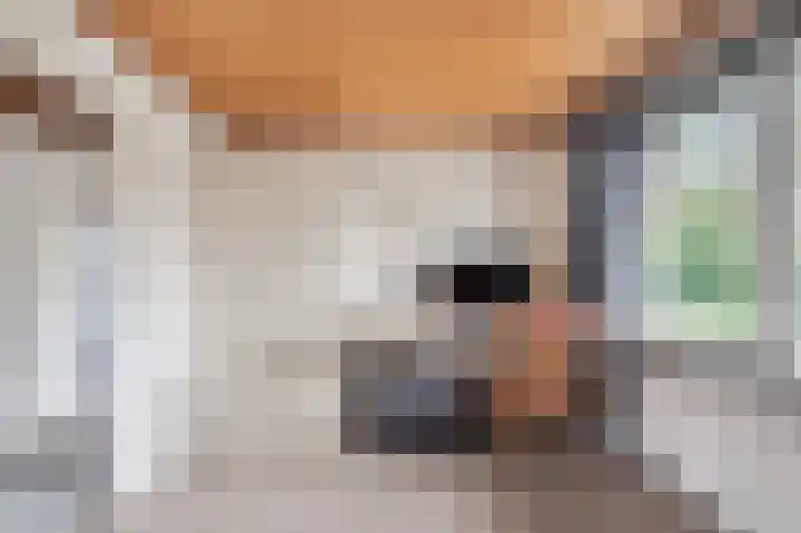 Dr. Schaepmanlaan 5 Schijndel thumbnail 27