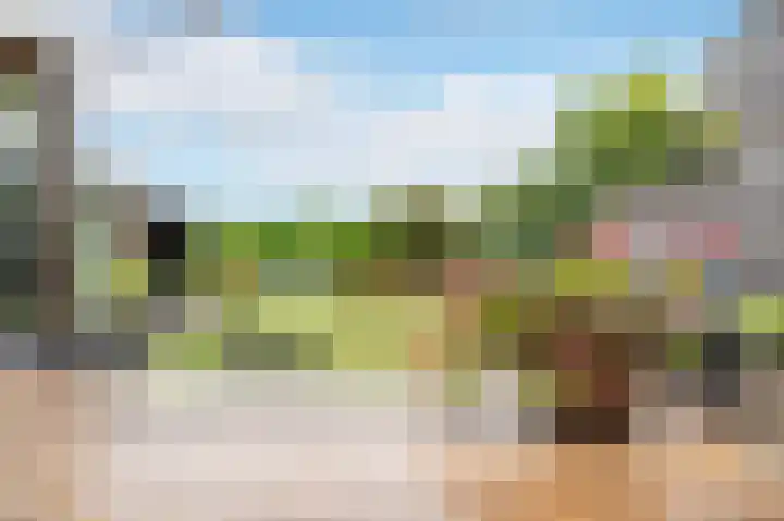Dr. Schaepmanlaan 5 Schijndel thumbnail 36