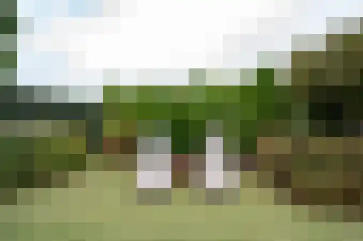 Dr. Schaepmanlaan 5 Schijndel thumbnail 38