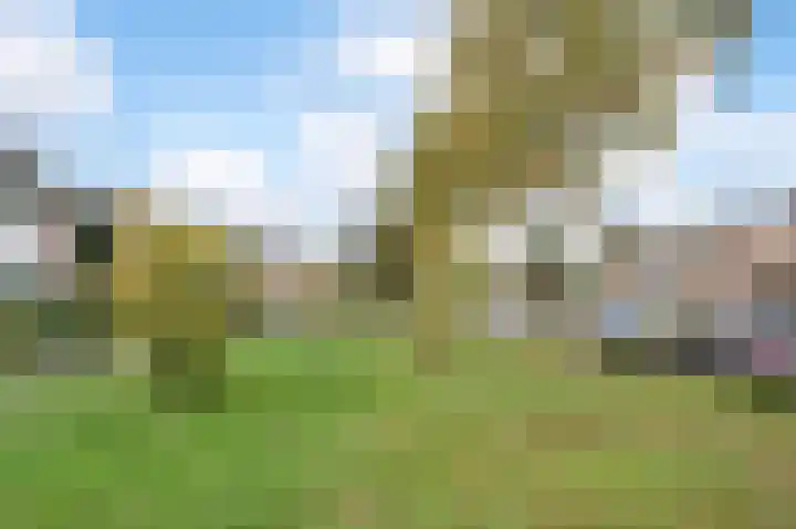 Dr. Schaepmanlaan 5 Schijndel thumbnail 40