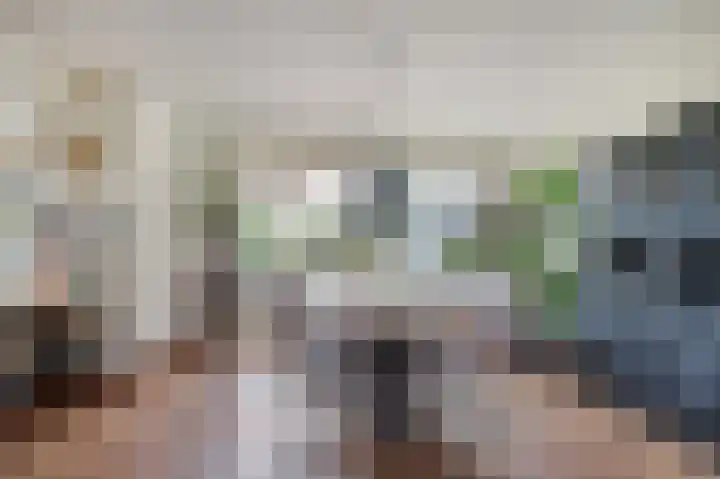 Dr. Schaepmanlaan 5 Schijndel thumbnail 7
