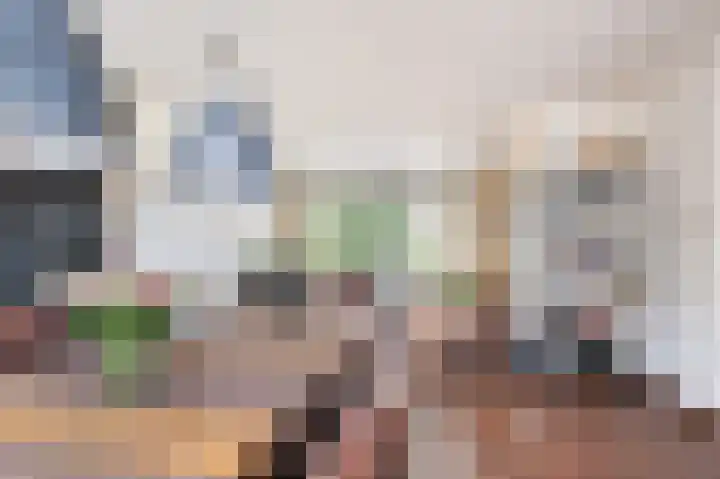 Dr. Schaepmanlaan 5 Schijndel thumbnail 8