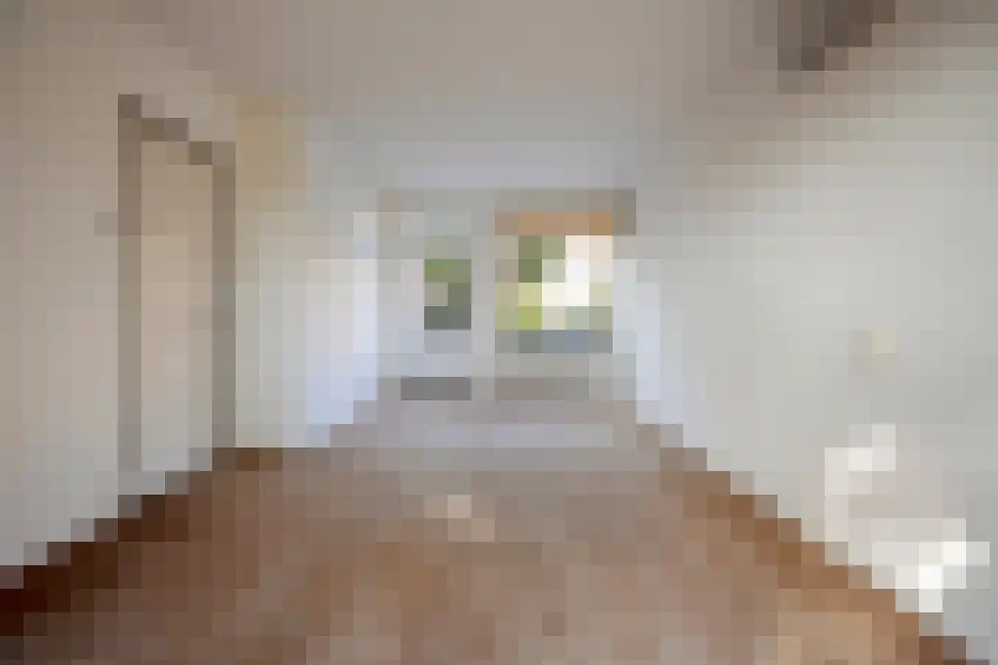 Dr. Schaepmanlaan 53 Arnhem thumbnail 13