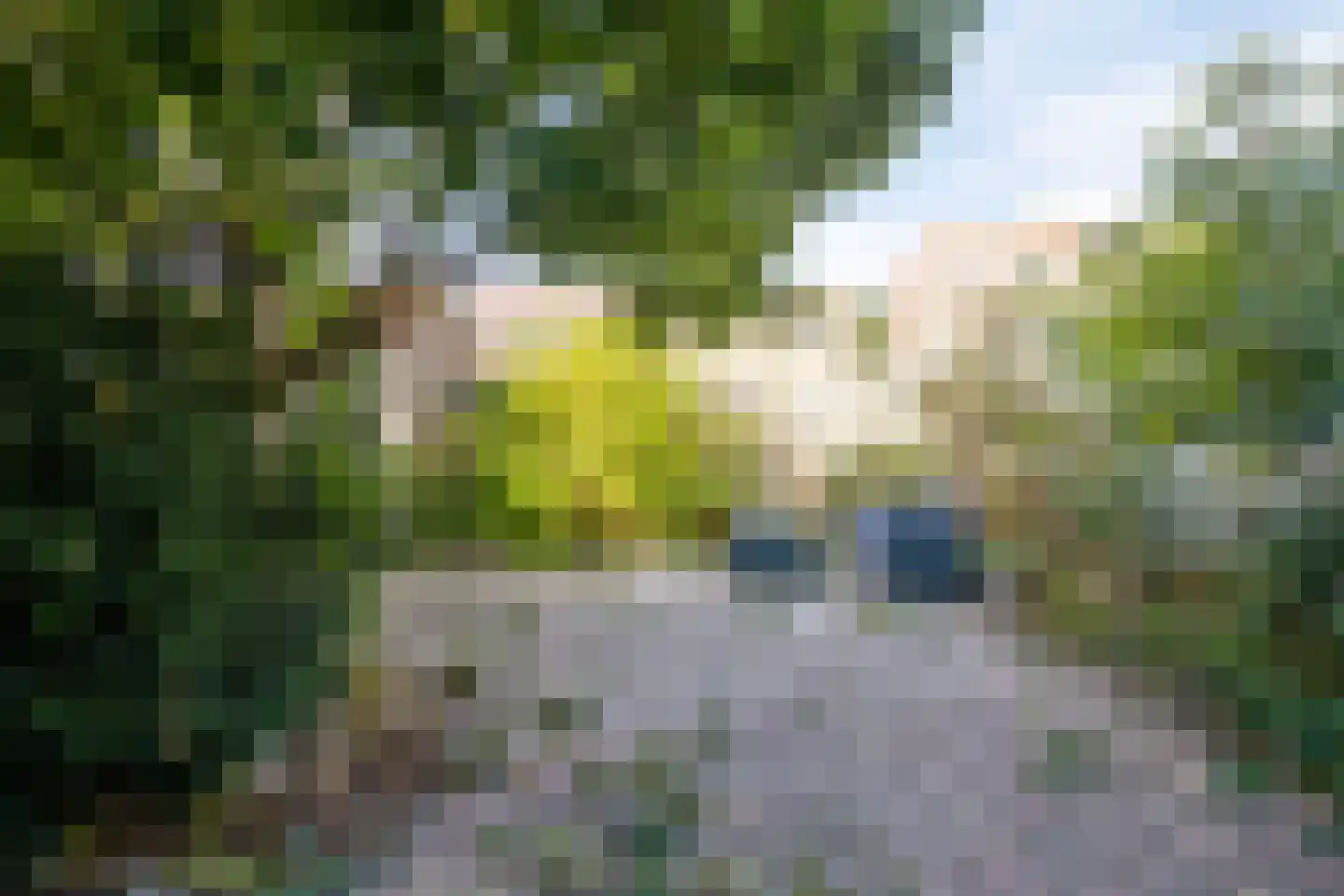 Dr. Schaepmanlaan 53 Arnhem thumbnail 29