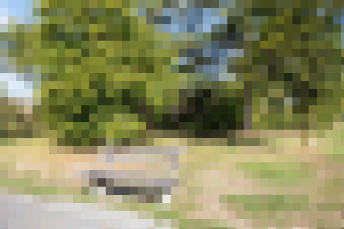 Dr. Schaepmanlaan 53 Arnhem thumbnail 37