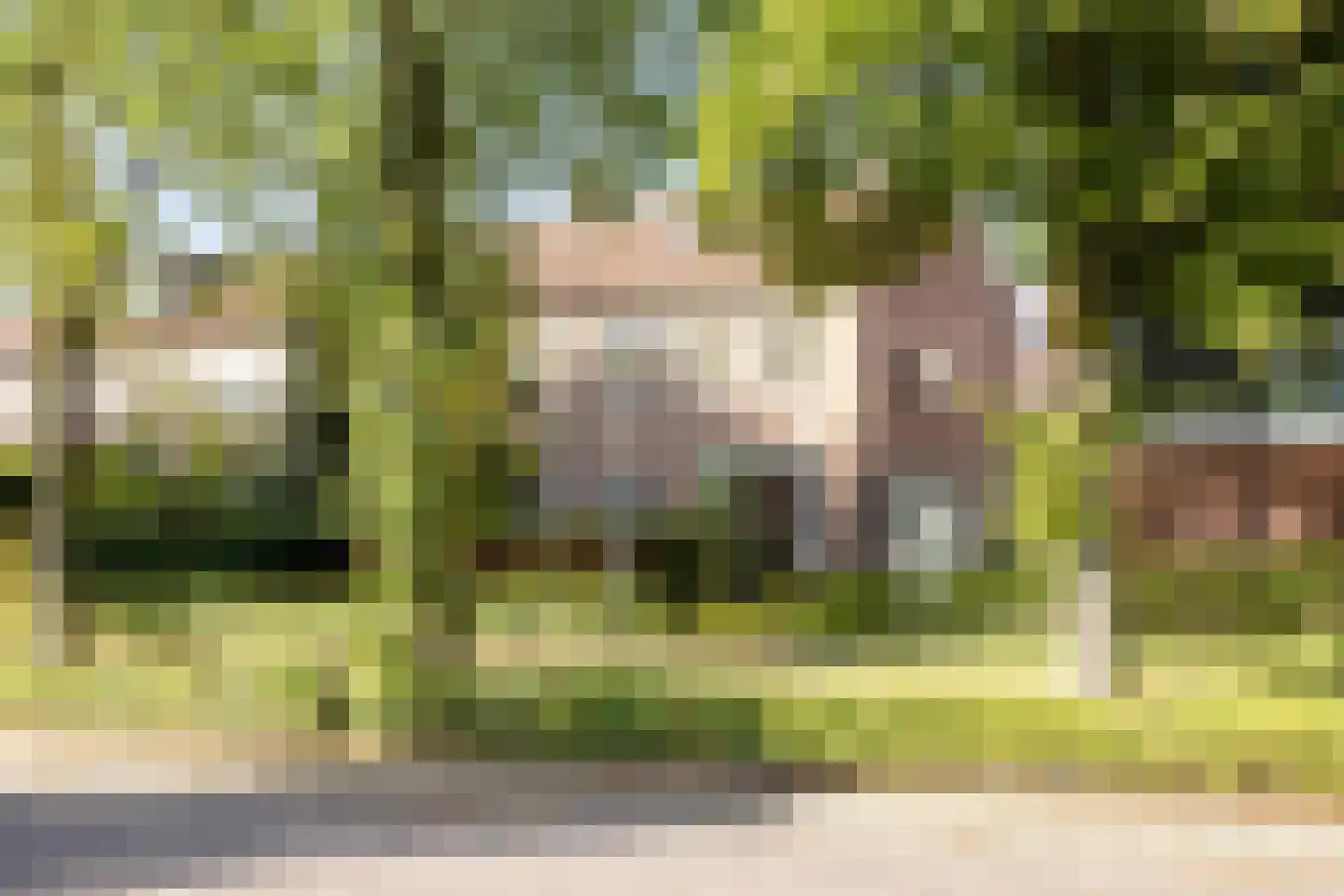Dr. Schaepmanlaan 53 Arnhem thumbnail 7