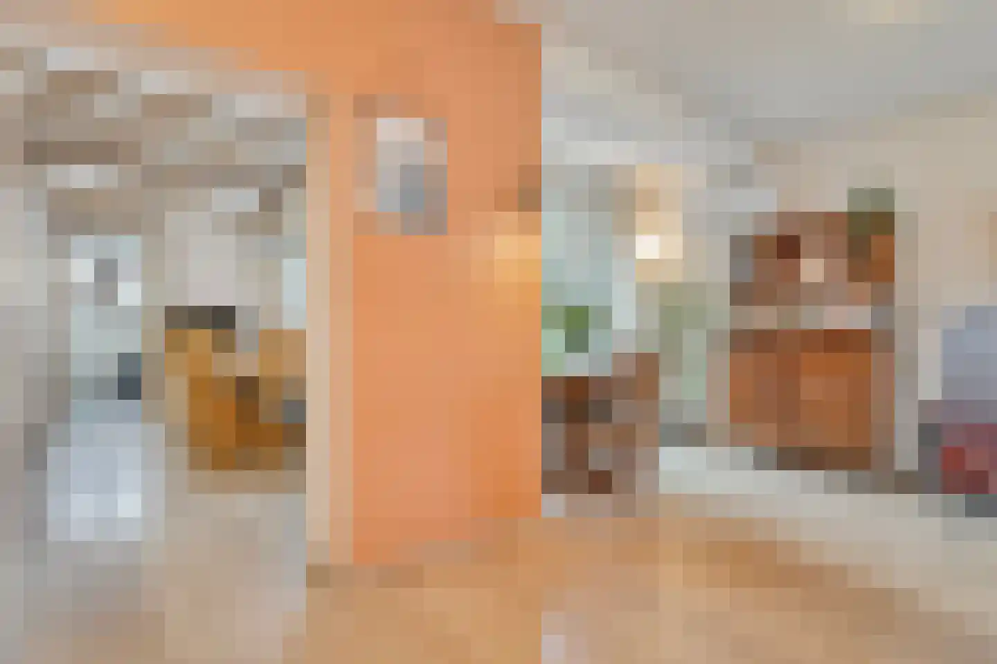 Dr. Schaepmanlaan 58 Zwolle thumbnail 16