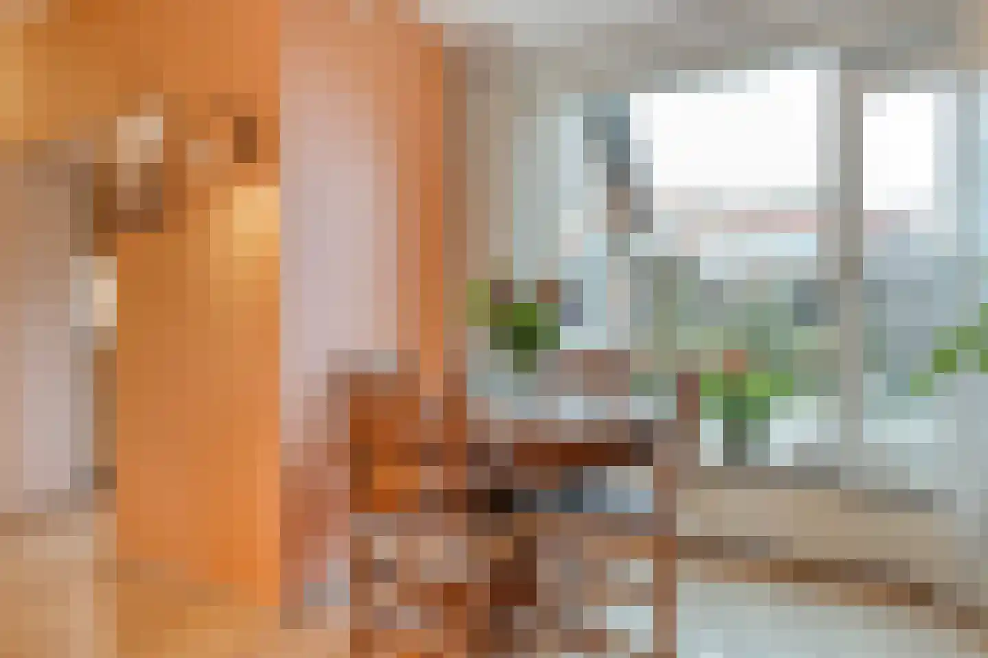 Dr. Schaepmanlaan 58 Zwolle thumbnail 17