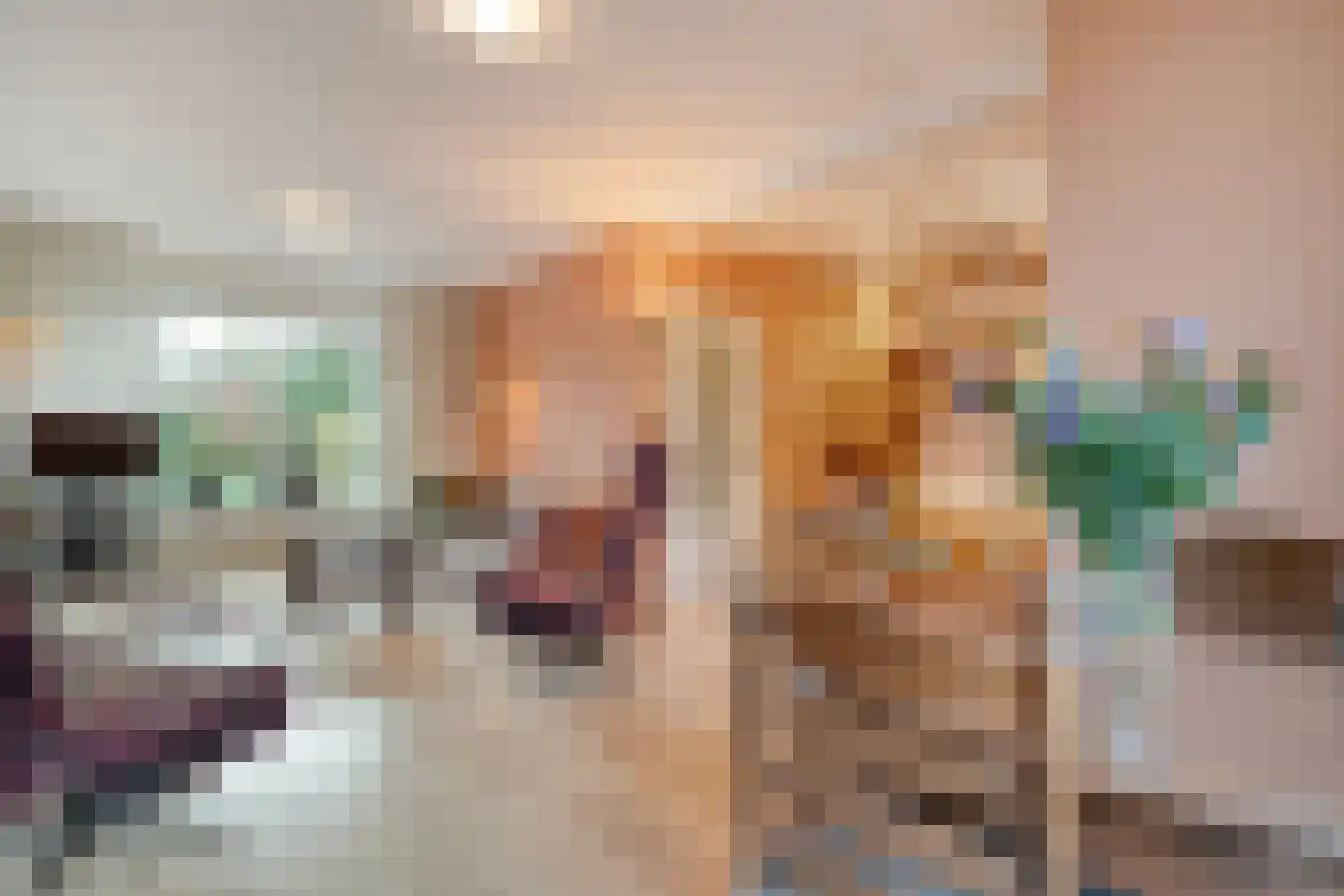 Dr. Schaepmanlaan 58 Zwolle thumbnail 18
