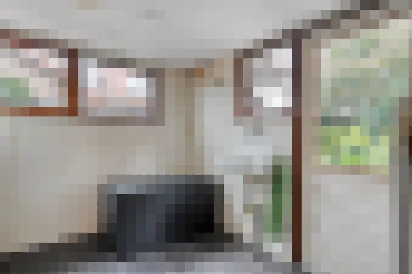 Dr. Schaepmanlaan 58 Zwolle thumbnail 22
