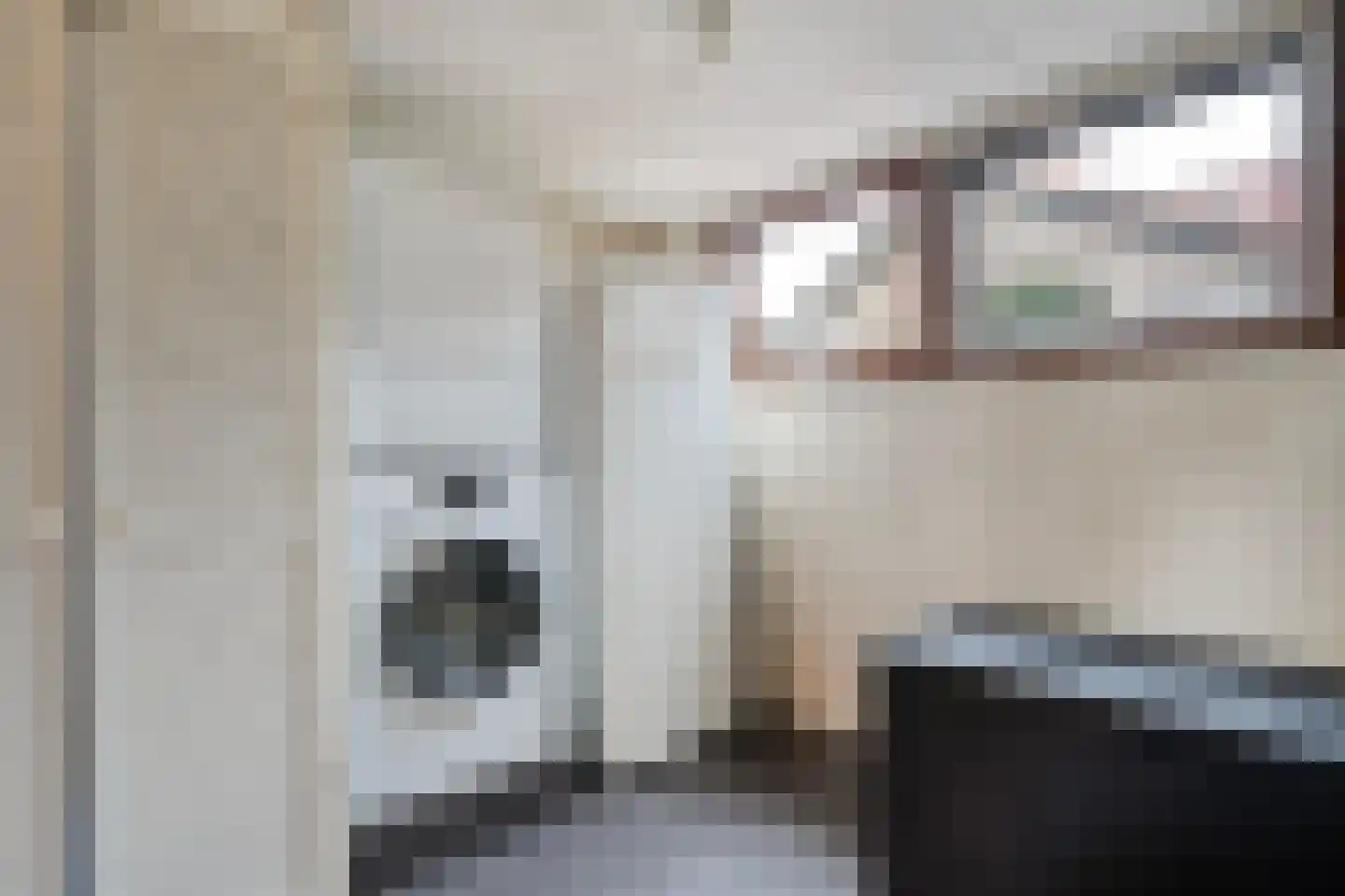 Dr. Schaepmanlaan 58 Zwolle thumbnail 23