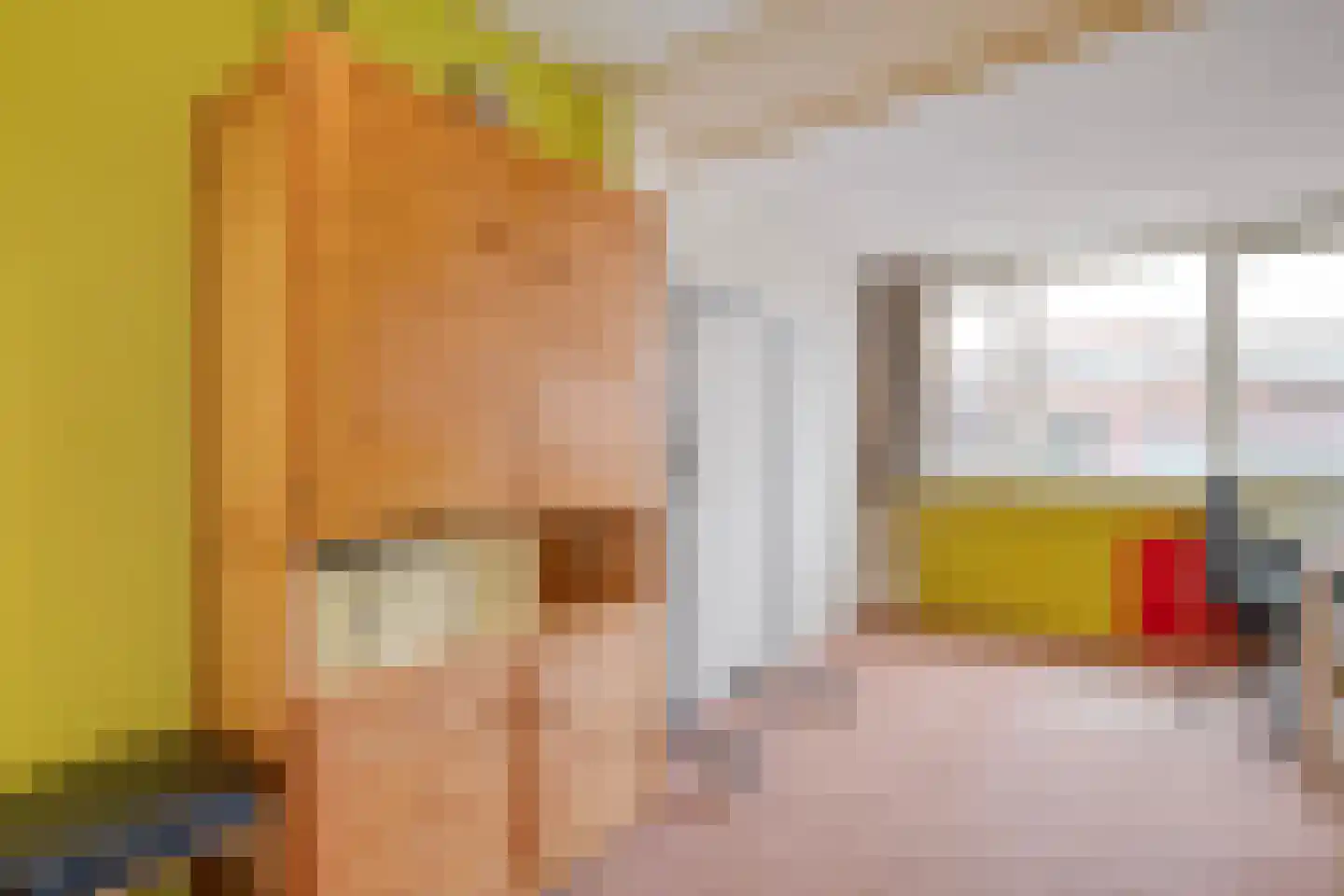 Dr. Schaepmanlaan 58 Zwolle thumbnail 30