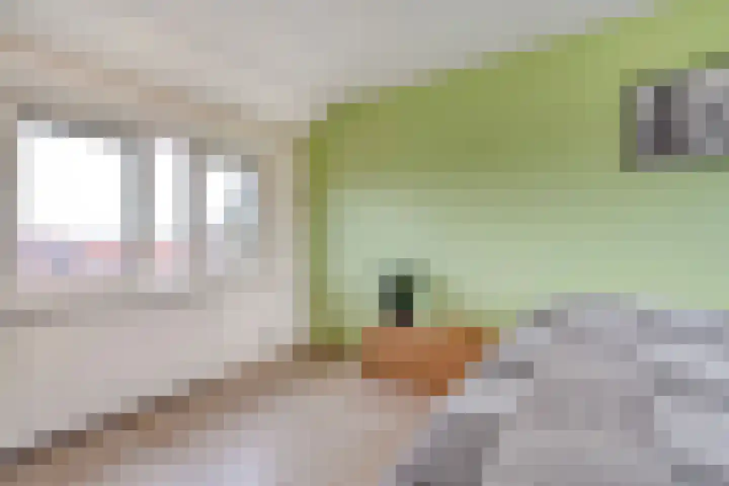 Dr. Schaepmanlaan 58 Zwolle thumbnail 34