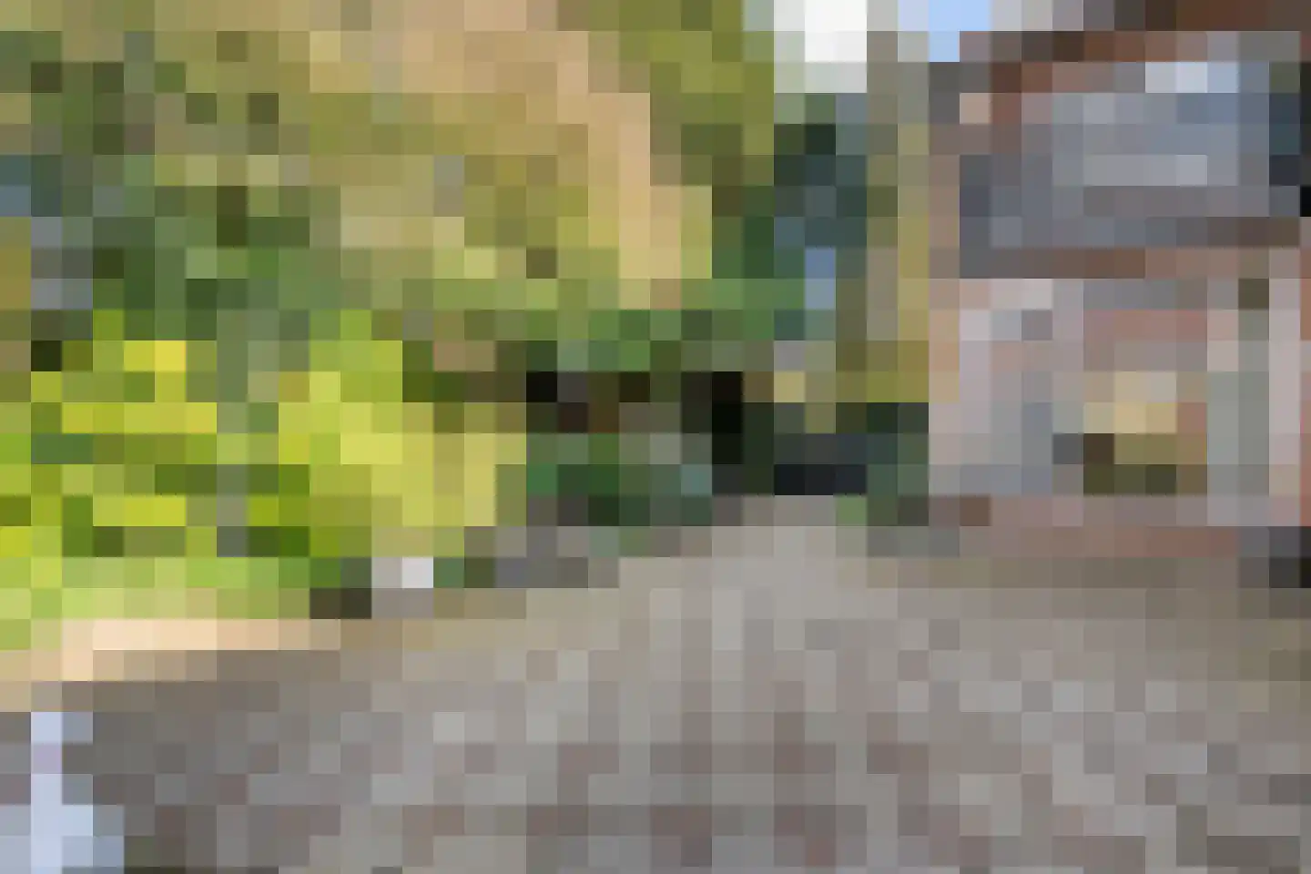 Dr. Schaepmanlaan 58 Zwolle thumbnail 39
