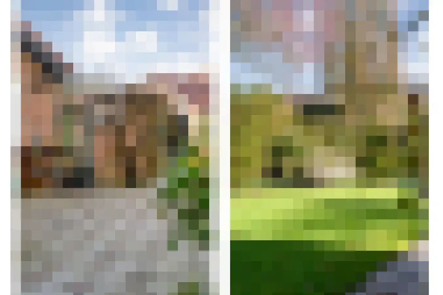 Dr. Schaepmanlaan 58 Zwolle thumbnail 8