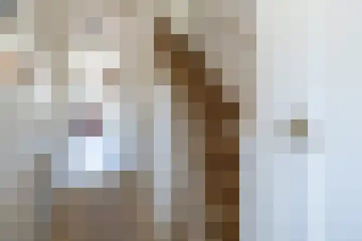 dr. Schaepmanlaan 59 Bussum thumbnail 16