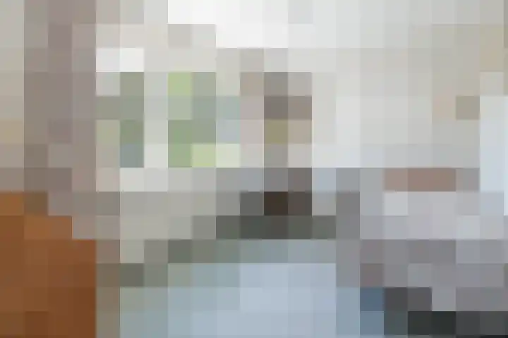 dr. Schaepmanlaan 59 Bussum thumbnail 21