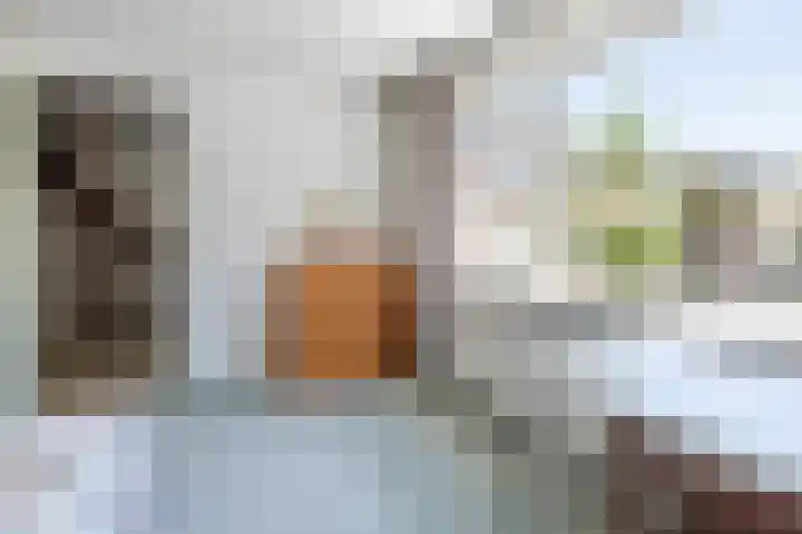 dr. Schaepmanlaan 59 Bussum thumbnail 22