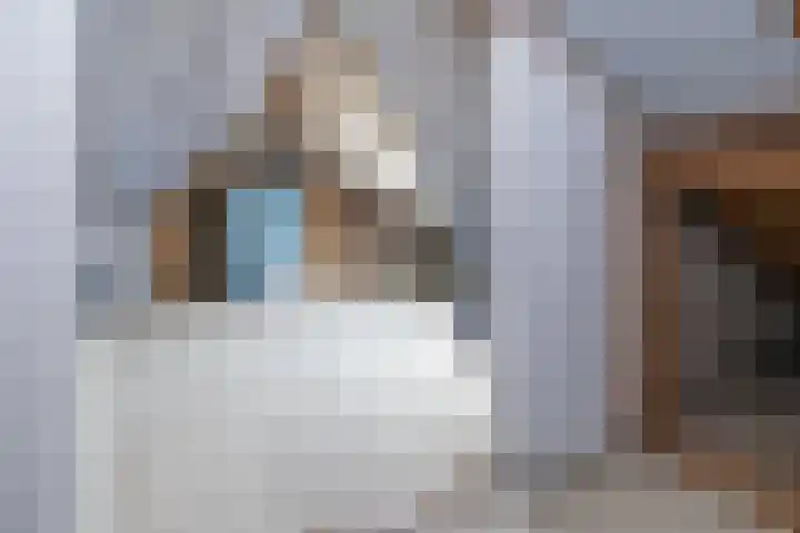 dr. Schaepmanlaan 59 Bussum thumbnail 26