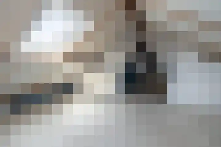 dr. Schaepmanlaan 59 Bussum thumbnail 27