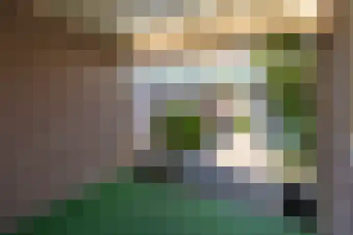 dr. Schaepmanlaan 59 Bussum thumbnail 28