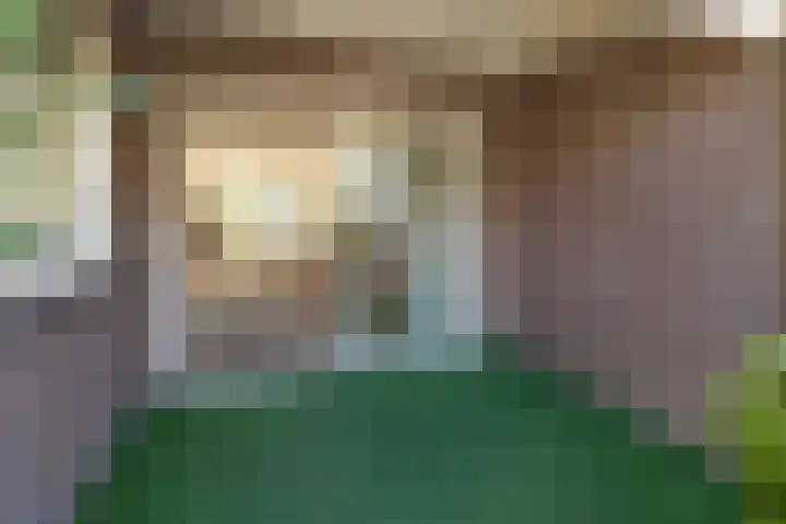 dr. Schaepmanlaan 59 Bussum thumbnail 29