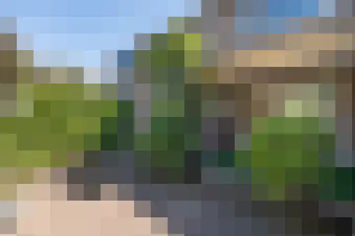 dr. Schaepmanlaan 59 Bussum thumbnail 30