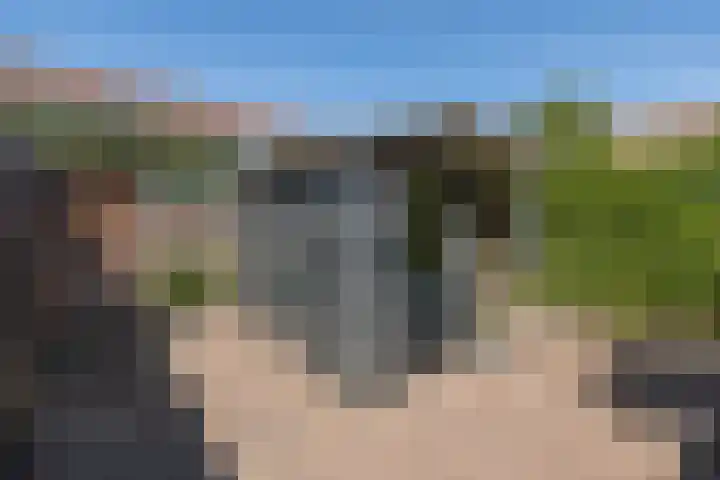 dr. Schaepmanlaan 59 Bussum thumbnail 31