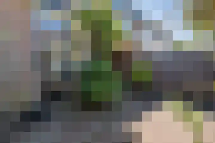 dr. Schaepmanlaan 59 Bussum thumbnail 34