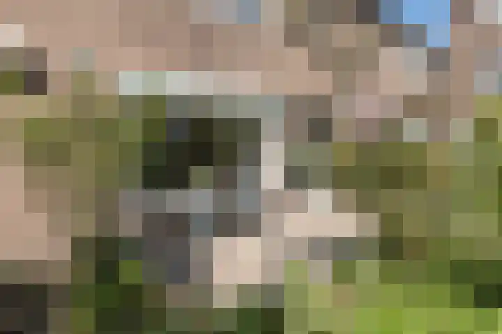 dr. Schaepmanlaan 59 Bussum thumbnail 35