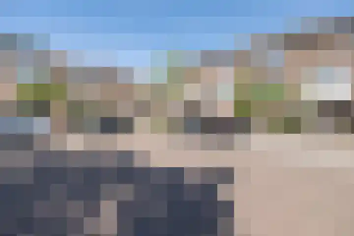 dr. Schaepmanlaan 59 Bussum thumbnail 40