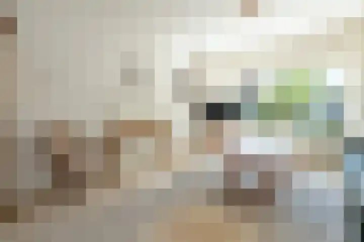 dr. Schaepmanlaan 59 Bussum thumbnail 6
