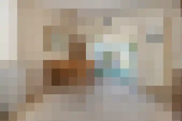 dr. Schaepmanlaan 59 Bussum thumbnail 7