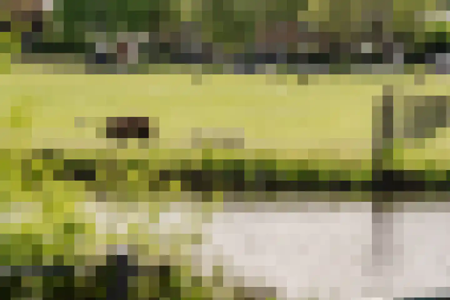 Dr. Schaepmanlaan 6 Heemstede thumbnail 26