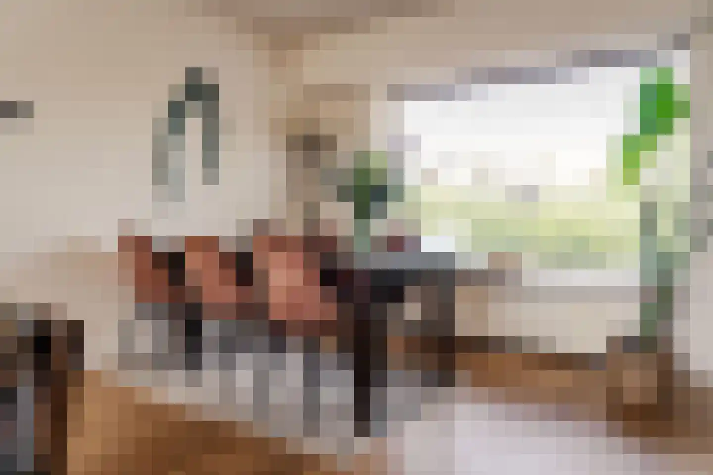Dr. Schaepmanlaan 6 Heemstede thumbnail 7
