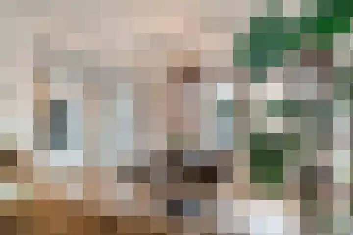 Dr. Schaepmanlaan 6 Zwolle thumbnail 10