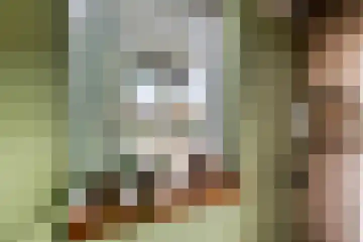 Dr. Schaepmanlaan 6 Zwolle thumbnail 13