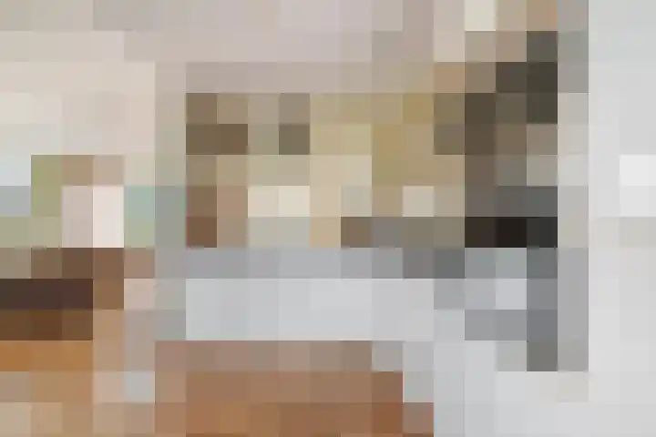 Dr. Schaepmanlaan 6 Zwolle thumbnail 17